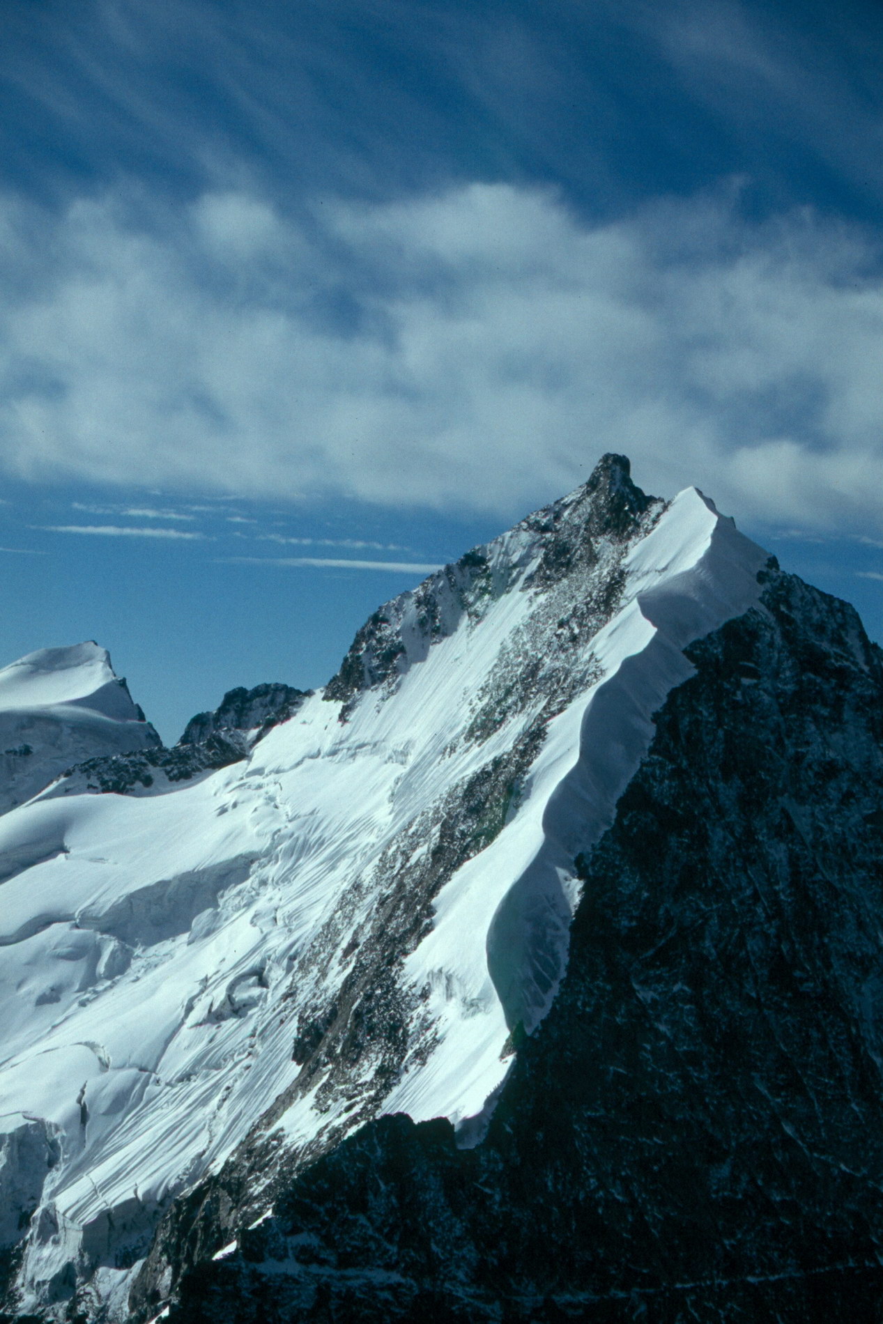 Piz_Bernina_mit_Biancograt