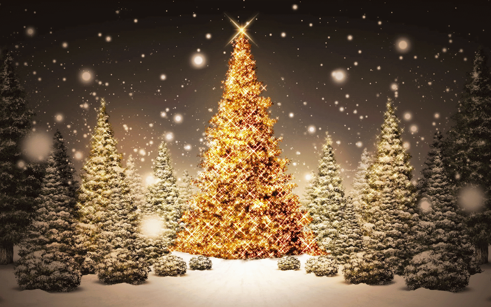 christmas tree wallpaper for desktop 331