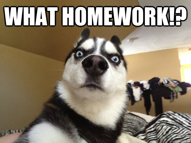 what-homework