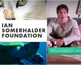 Ian ‘környezetvédő’ Somerhalder