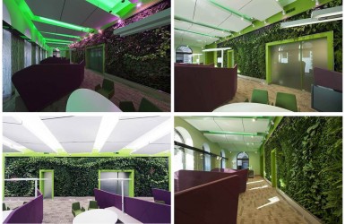 Zöldfalak a bankfiókokban